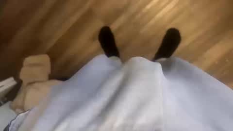 Snapshot of theplummer99 chatting on 11, 10, 2025 theplummer99 online show from 11, 10, 2025