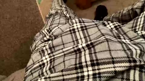 therealpietro77 online show from 5, 2, 2026