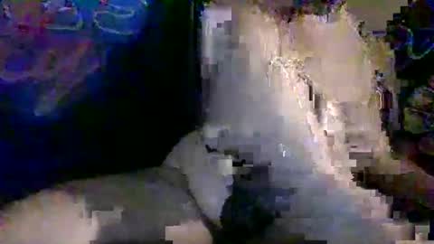 Snapshot of therealweedqueen420 chatting on 10, 11, 2025 Benni420 online show from 10, 11, 2025