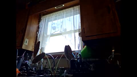 Snapshot of therizzler_1_of_1 chatting on 11, 9, 2025 therizzler_1_of_1 online show from 11, 9, 2025