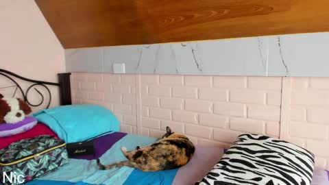 Snapshot of thetropicalseduction chatting on 25, 3, 2026 Nicole online show from 25, 3, 2026