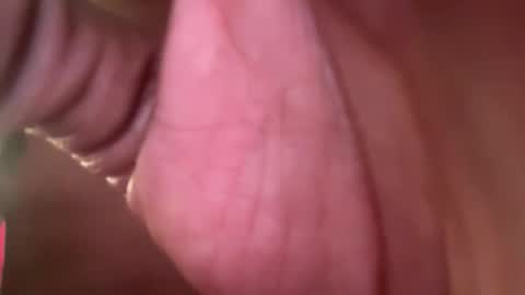 thetwomaskedbandits online show from 7, 4, 2026