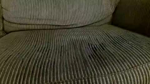 Thick Dom online show from 24, 2, 2026