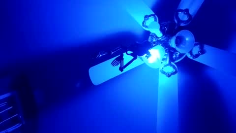 Thickamber online show from 5, 2, 2026