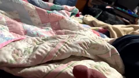 Snapshot of thickdic44 chatting on 12, 2, 2025 thickdic44 online show from 12, 2, 2025