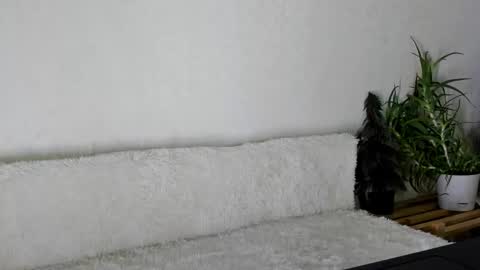 Snapshot of thief_of_hearts_ chatting on 26, 11, 2025 thief_of_hearts_ online show from 26, 11, 2025