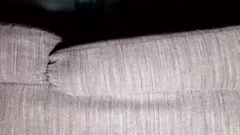 Thirsty4itall online show from 8, 1, 2025