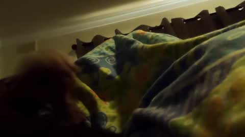 thisbloke96 online show from 10, 2, 2026