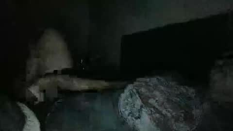 thisguyjake88 online show from 8, 3, 2026