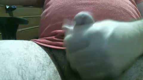 thomas0032 online show from 19, 2, 2026