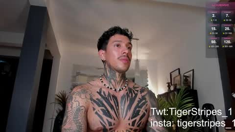 Snapshot of tigerstripes_ chatting on 28, 2, 2025 Chris online show from 28, 2, 2025