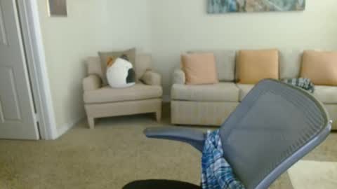 Snapshot of timealone120000 chatting on 11, 1, 2026 timealone120000 online show from 11, 1, 2026