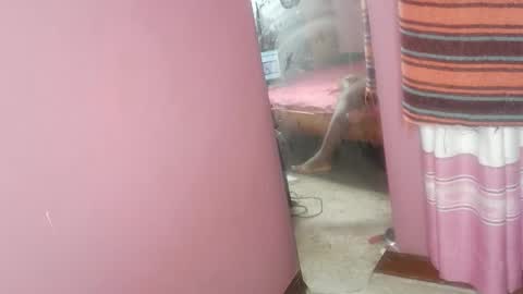 Snapshot of tin_love1 chatting on 18, 2, 2026 tin_love1 online show from 18, 2, 2026