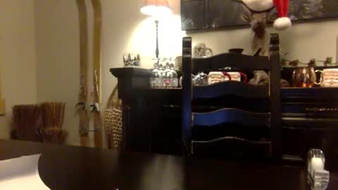 Snapshot of tinyandtatted420 chatting on 18, 12, 2025 tinyandtatted420 online show from 18, 12, 2025