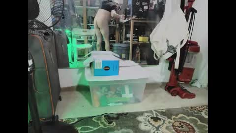 titncocklover online show from 4, 2, 2026