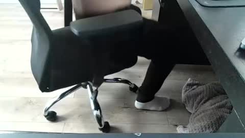 titsthebest online show from 12, 3, 2026