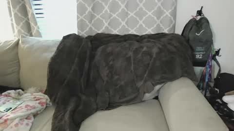 tittee mcgee online show from 19, 9, 2025