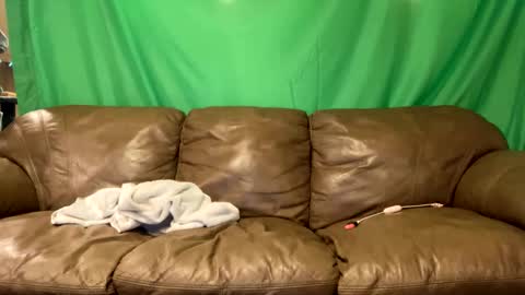 tjfemboi5641 online show from 23, 10, 2025