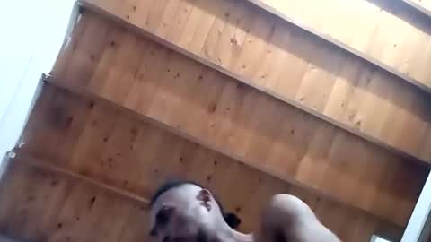 Snapshot of tnptlhvgyqcy chatting on 1, 11, 2025 DESTROY.S online show from 1, 11, 2025