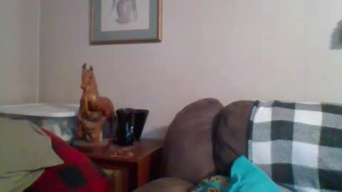 Snapshot of tnvols1968 chatting on 28, 10, 2025 Vols online show from 28, 10, 2025