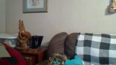 Snapshot of tnvols1968 chatting on 29, 10, 2025 Vols online show from 29, 10, 2025