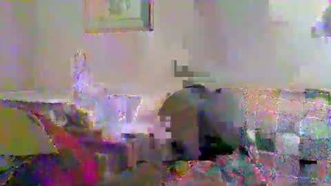 Snapshot of tnvols1968 chatting on 23, 11, 2025 Vols online show from 23, 11, 2025