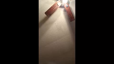 Vols online show from 11, 1, 2026