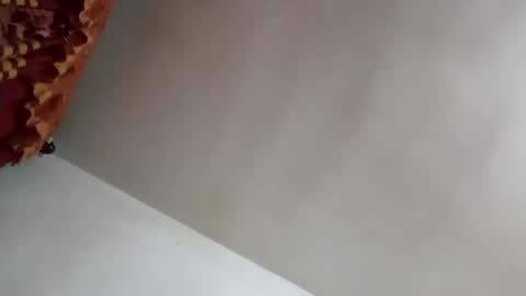 Snapshot of tobe557337 chatting on 31, 1, 2025 tobe557337 online show from 31, 1, 2025