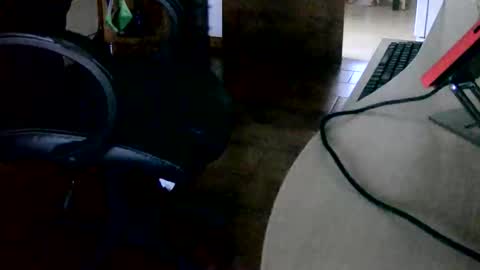 Tobiko online show from 15, 11, 2025