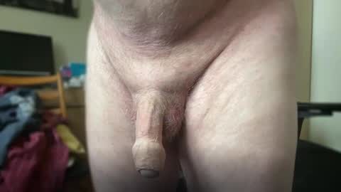 Togbear online show from 9, 10, 2025