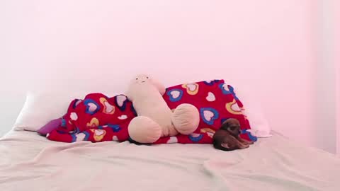 Adela y juan online show from 2, 12, 2024