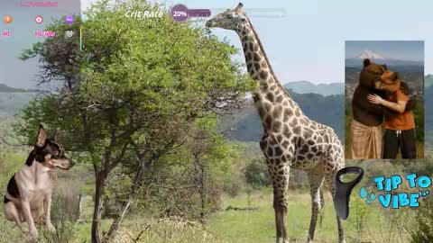 Snapshot of tomaz62a chatting on 30, 10, 2025 Tomaz62a online show from 30, 10, 2025