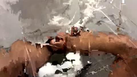 Dr. Dick online show from 24, 11, 2025