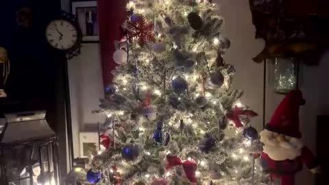 tommybones4l93 online show from 18, 12, 2025