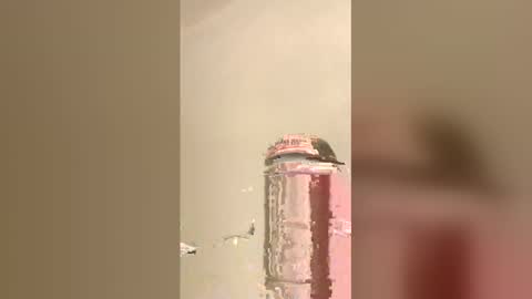 tommygun4969 online show from 5, 2, 2026