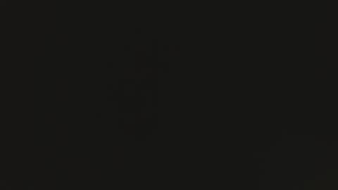 tomylela online show from 1, 12, 2025