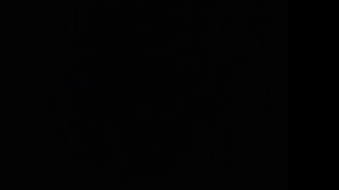 Snapshot of tooobvious chatting on 10, 1, 2025 tooobvious online show from 10, 1, 2025