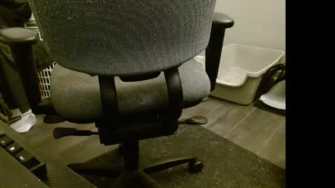 Snapshot of tooobvious chatting on 11, 2, 2025 tooobvious online show from 11, 2, 2025