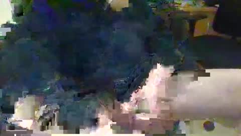 Topcat127 online show from 5, 3, 2025