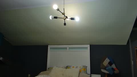 Snapshot of toplegs chatting on 23, 2, 2026 Anda online show from 23, 2, 2026