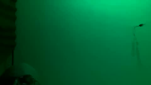 Snapshot of torrero_german chatting on 23, 11, 2025 MisterXxX online show from 23, 11, 2025