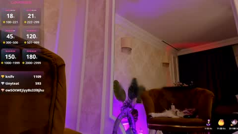 torri kitten online show from 29, 12, 2024