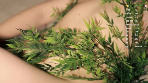 Toshi online show from 14, 12, 2025