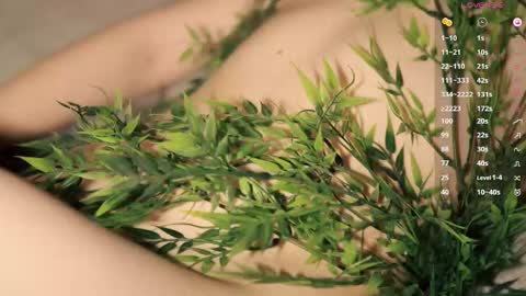 Toshi online show from 8, 2, 2026