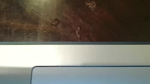 Snapshot of totxxx335 chatting on 15, 12, 2025 totxxx335 online show from 15, 12, 2025