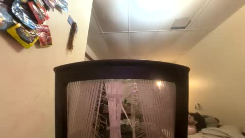 tracy227 online show from 9, 11, 2025