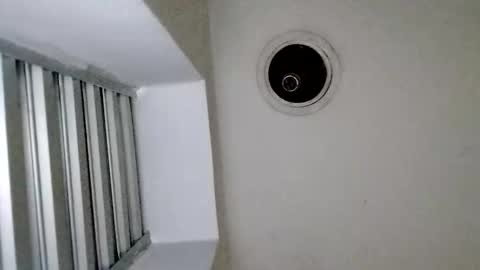 TradicionCanera23cm online show from 1, 3, 2026