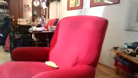 Snapshot of trebgeis1 chatting on 6, 1, 2026 trebgeis1 online show from 6, 1, 2026