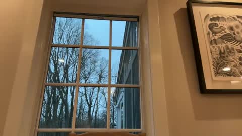 treborinthesky online show from 2, 2, 2025