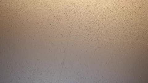 treedude303720 online show from 16, 10, 2025